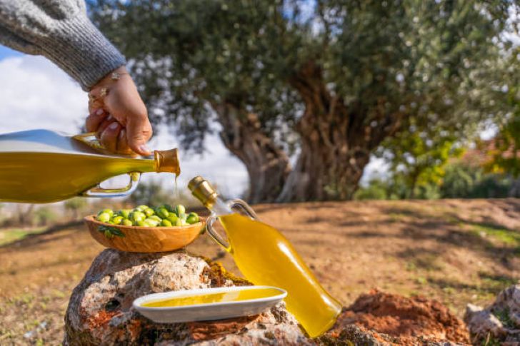 Extra Virgin Olive Oil with Olives and an Olive Tree on the Background